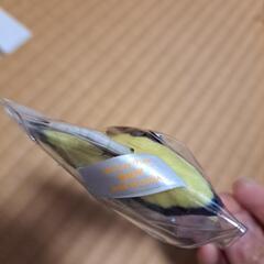 ファインティングドリーマスコットの画像