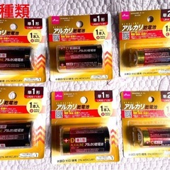 DAISO★アルカリ乾電池合計6本単一4本単ニ2本