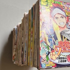 食戟のソーマ|附田祐斗・佐伯俊|原作全話・週刊少年ジャンプの画像
