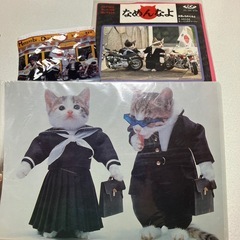 なめんなよまとめ売り