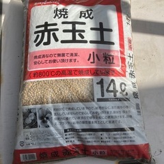 焼成
赤玉土14ℓ