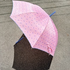 傘　ピンク