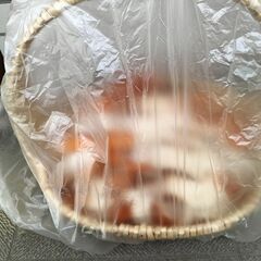 乾燥みかんの皮の画像