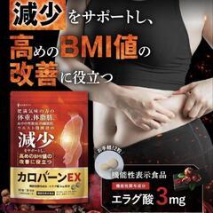 30日分 カロバーンEX エラグ酸 3mg αリポ酸 機能性表示食品 サプリの画像