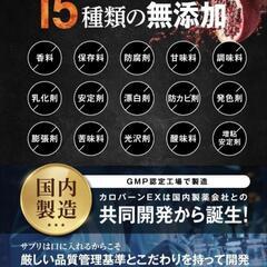 30日分 カロバーンEX エラグ酸 3mg αリポ酸 機能性表示食品 サプリの画像