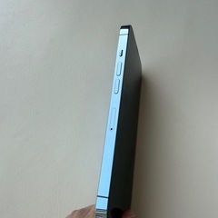 【値下げ】iPhone13Pro 256GB シエラブルー 美品の画像