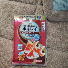 朱文金　金魚　一匹の画像