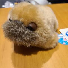 セイウチぬいぐるみ