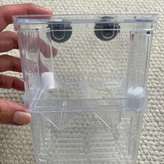 メダカ、熱帯魚用　産卵、隔離用　セキュリティーボックスの画像