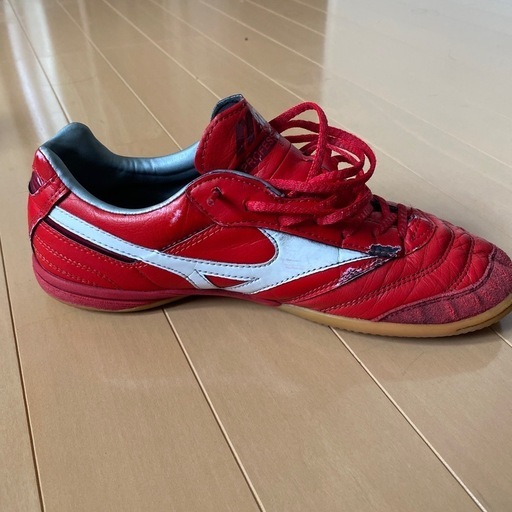 モレリア　フットサルシューズ　25.0cm