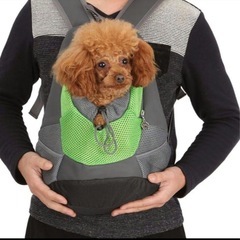 【新品】ペットキャリアバッグ 小型犬用 ペット 犬 バックパック グレー グリーン　Sの画像