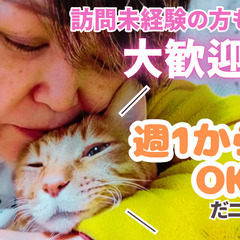 訪問未経験OK！週1日～OK！U・I・Jターン支援あり/看護師