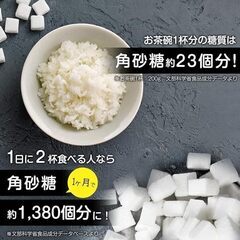 糖質カット炊飯器 LOCABO ロカボ 45%カットの画像