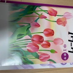 I ワーク　中1数学