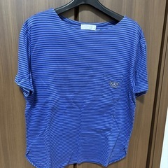 ZELEセットアップの画像