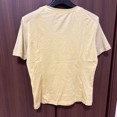 シースルーＴシャツの画像