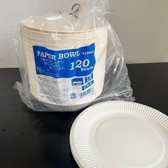 【決定!!】ペーパーボウル 410ml ×97枚　紙皿×15枚