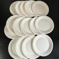 【決定!!】ペーパーボウル 410ml ×97枚　紙皿×15枚の画像