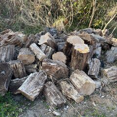 薪用丸太、無料、風呂やまきストーブにいかがですか？の画像