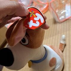 ペット　ぬいぐるみ　ty の画像