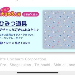 レジャーシート