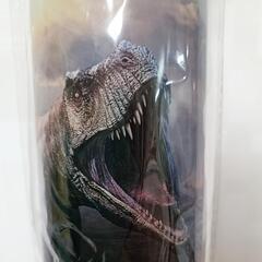 ウォーターボトル（恐竜🦖）の画像