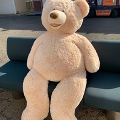 ✅コストコ　クマ　ぬいぐるみ✅