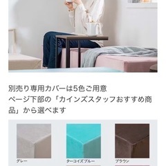 カインズ　ブロックソファ　カバー付きの画像