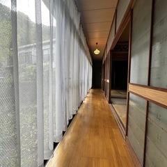 奇跡か🤩鹿児島市内閑静な住宅地域90坪以上の敷地隠れ家的な平家出ました🦾👏🏽👏🏽 - 賃貸（マンション/一戸建て）