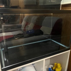 Amazonで見つけた小型水槽を購入して立ち上げたら、想像以上で