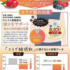【新品未開封！大特価】 カロリンピュア 30日分 肥満気味 体脂肪の減少 中性脂肪 内臓脂肪 無添加の画像