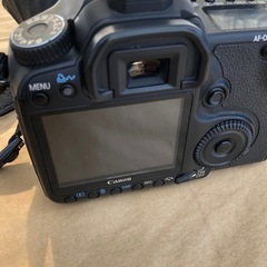 キヤノン　EOS40D  SIGMA 30mm F1.4 EX DC HSMの画像