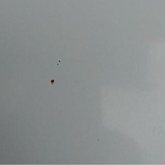 ハイエース　ボンネットの画像