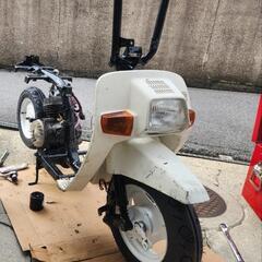 ホンダ スカッシュ 旧原付 実働の画像