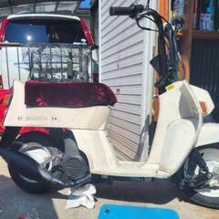 ホンダ スカッシュ 旧原付 実働の画像