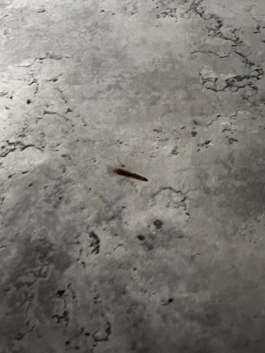 ダイニングセット