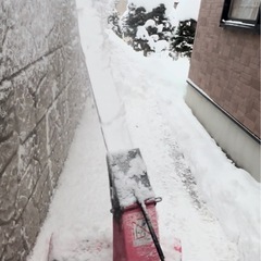 雪除機　限定カラー🩷の画像