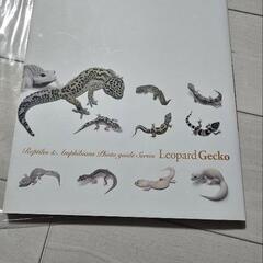 ヒョウモントカゲモドキ ガイドブックの画像