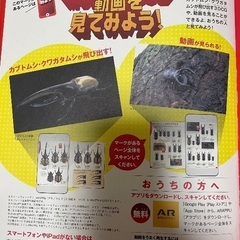 カブトムシ図鑑の画像