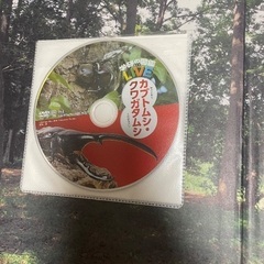 カブトムシ図鑑の画像