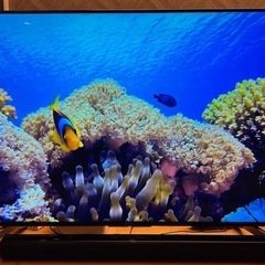 ソニー　4K液晶テレビ SONY BRAVIA KJ-55X85...