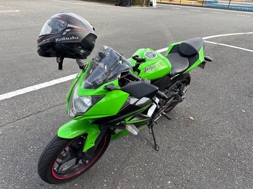Kawasaki NINJA250SL グリーン
