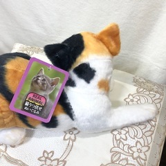 三毛猫ぬいぐるみの画像