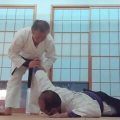 都心で学べる整体護身術　柔八光流　武揚会　潜在力を必ず引き出す稽古の画像