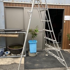 1348😺　7尺　アルミ製　園芸三脚脚立