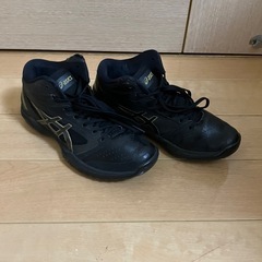 アシックス ASICS バスケットボール シューズ GELHOOP V11 22.5cm の画像