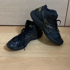 アシックス ASICS バスケットボール シューズ GELHOO...