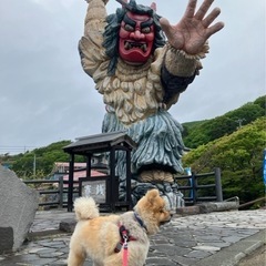 ♦️水曜日まで秋田にいます🦋