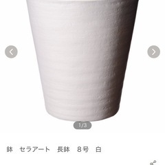 長鉢 
8号(新品　未使用品)