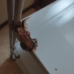 無印　ユニットシェルフの画像